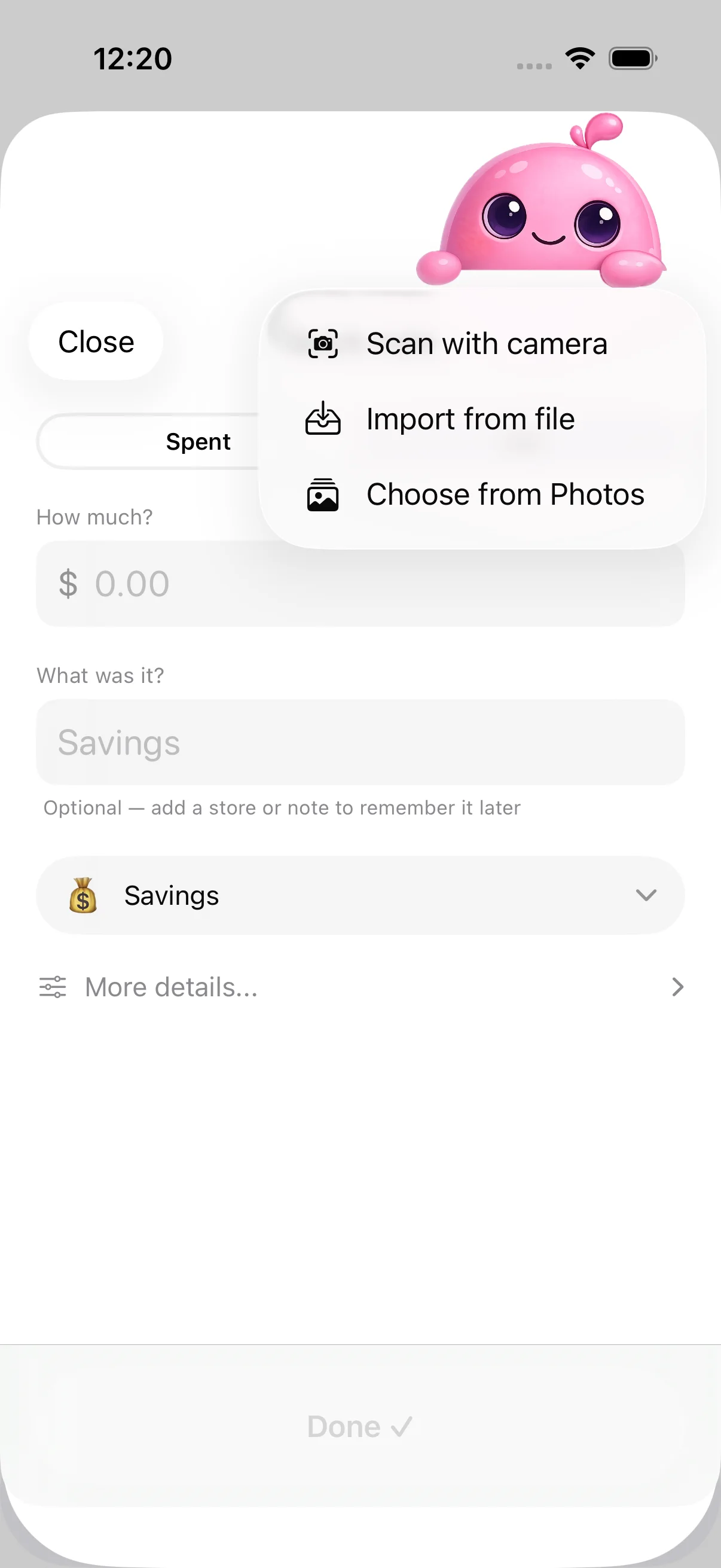 Receipt tools in KindBudget